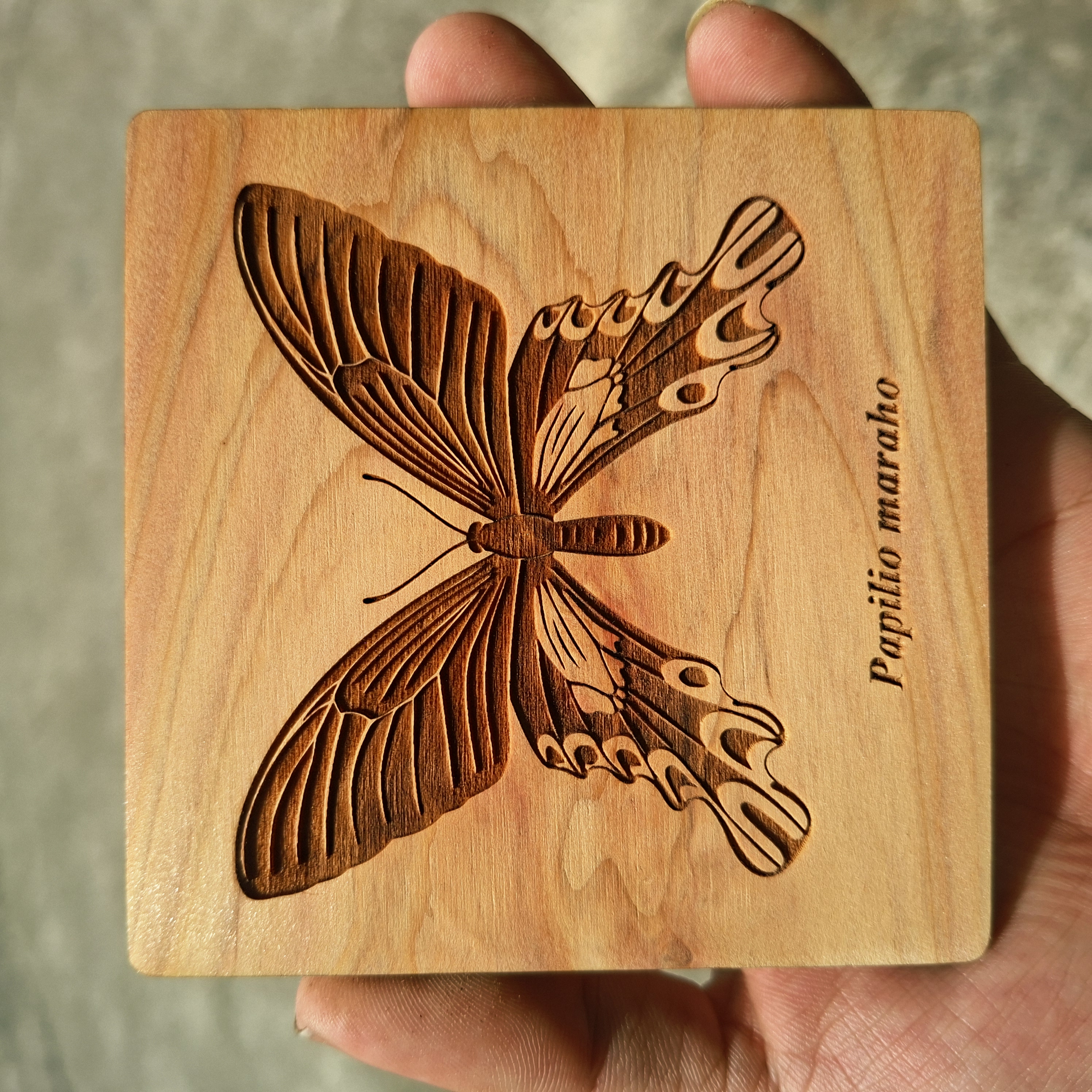 蠹 - Nerd 雷射雕刻木作 — 台灣寬尾鳳蝶 Papilio maraho 木刻方塊，手持展示